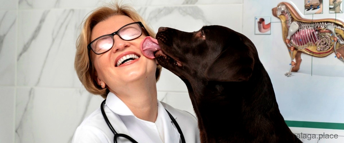 ¿Cuál es la especialidad más buscada en un veterinario en Málaga?