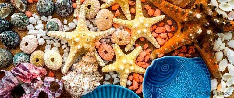 Los 18 restaurantes para comer conchas finas de Málaga