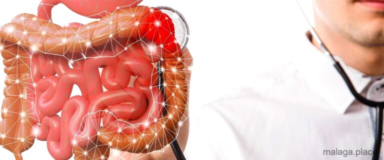 Los 11 mejores digestivos de Málaga