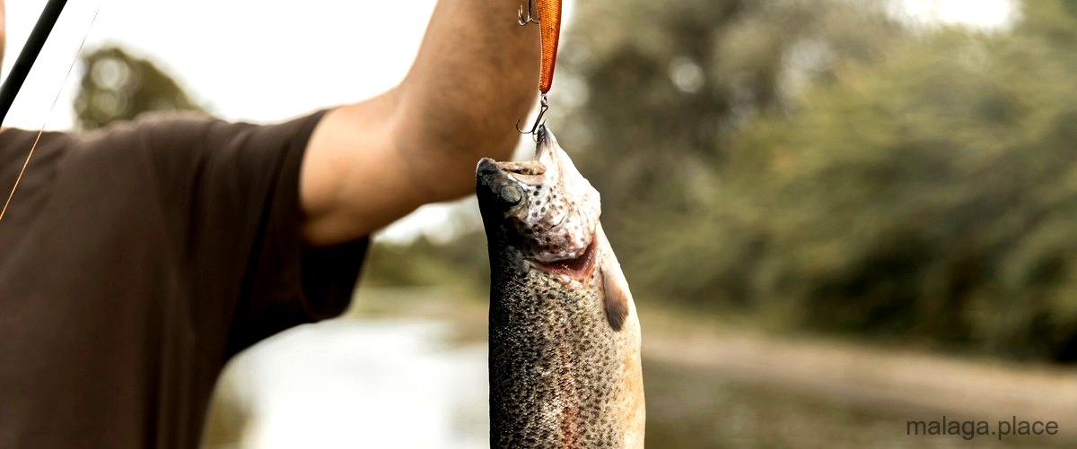 ¿Qué tipo de peces se pueden pescar en Málaga?