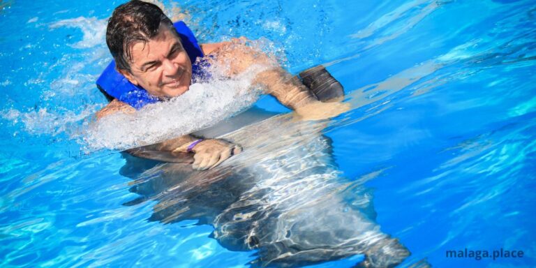Los 4 mejores tours para ver delfines en Benalmádena
