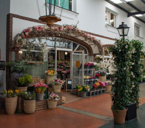 Centro de Jardinería Viveros Guzmán