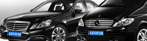 Malaga Airport Taxi Transfers Blue Plate Cabs