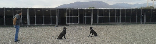 Residencia Canina Unican