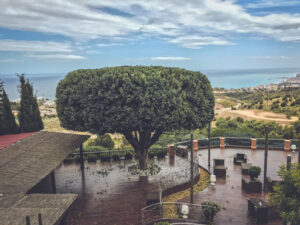 Pinsapo Garden