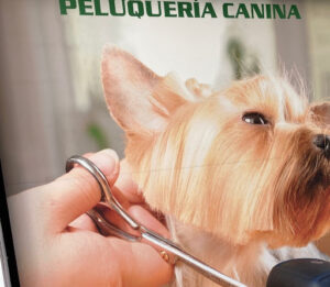 Clínica Veterinaria Ivet