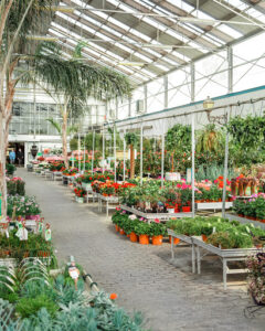 Agrojardín