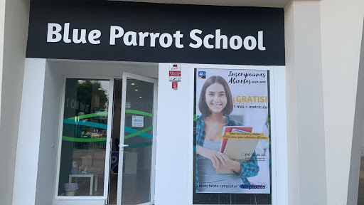 Blue Parrot School Málaga - Escuela de idiomas
