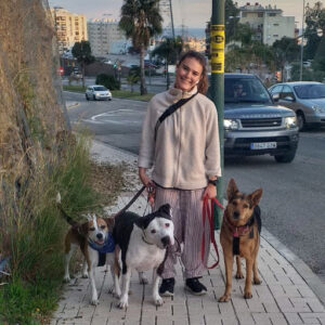 De Los Reyes Dog Hotel