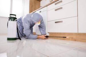 Plagaland -Control de Plagas Andalucía -