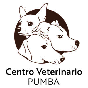 Clinica Veterinaria Pumba