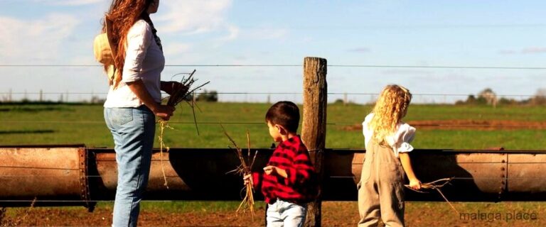 Las 7 mejores granjas escuela de Málaga