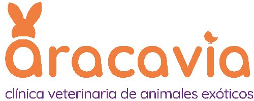 Clínica veterinaria de animales exóticos Aracavia