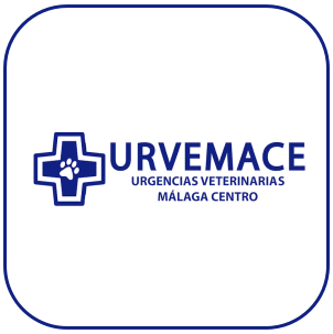 Hospital Veterinario Urvemace