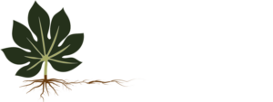 Jardinería Málaga