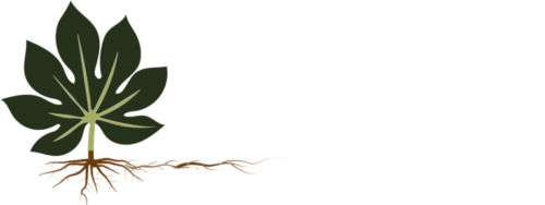 Jardinería Málaga